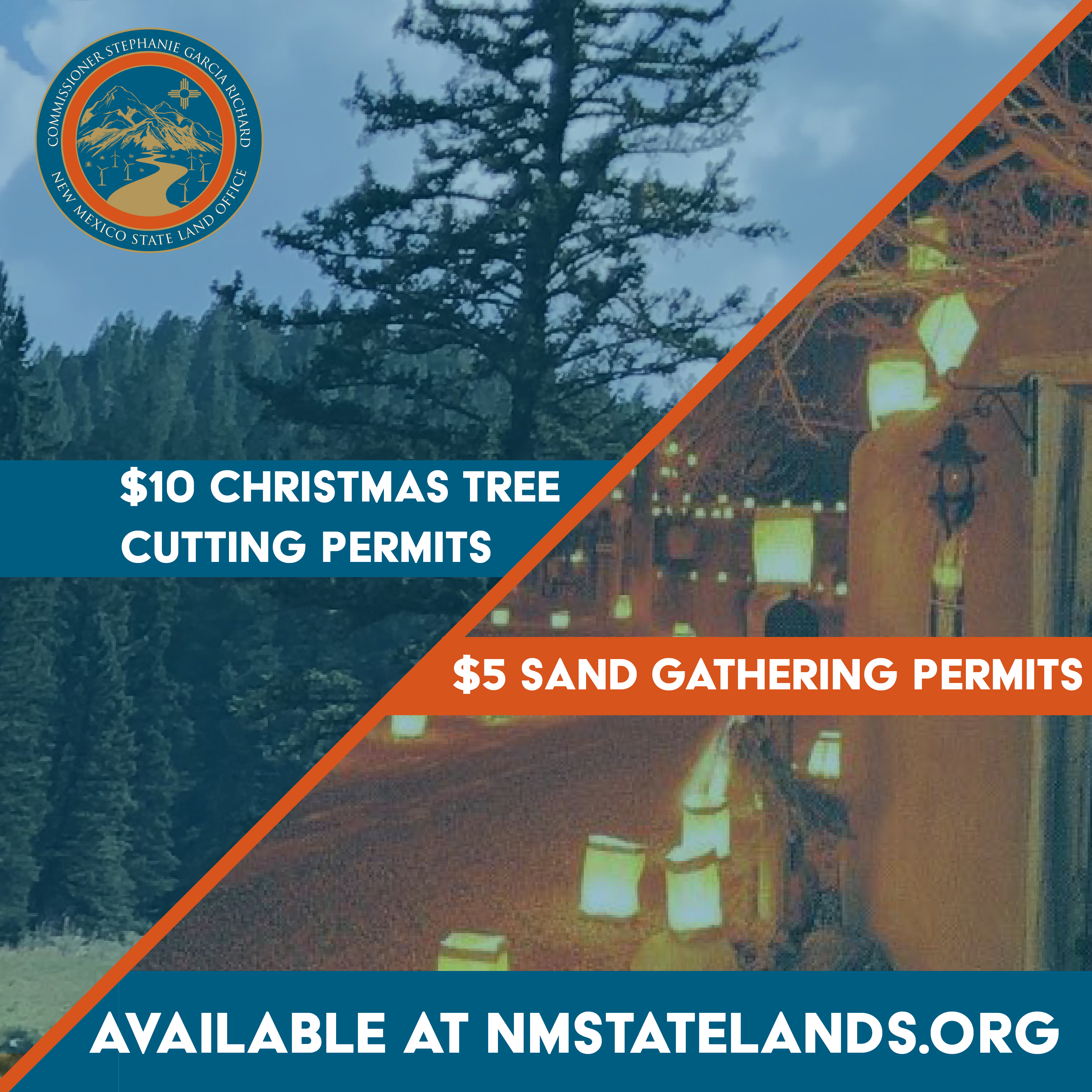 New Mexico Wood Cutting Permits