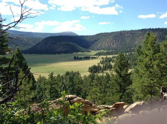 View over Coyote Creek