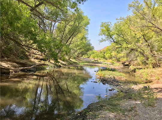 Calm stream through the Gila Box