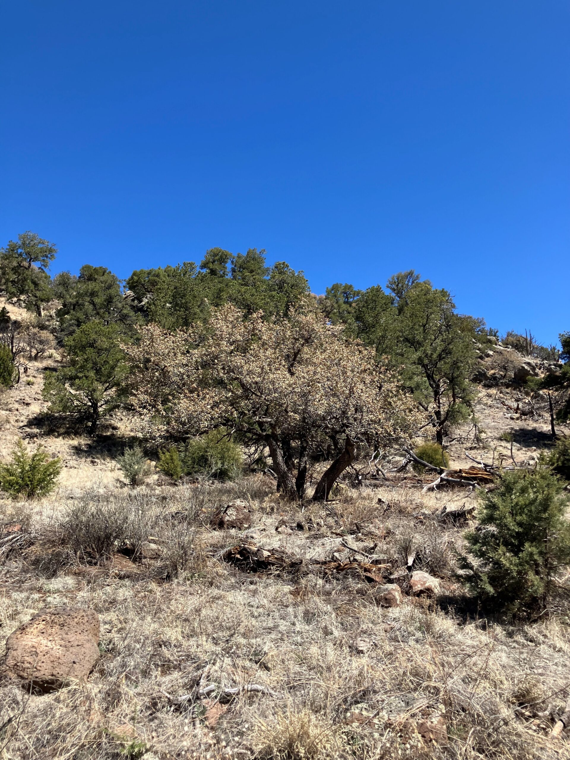 In the Luera Mountains